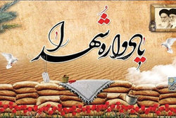 یادواره طلبه شهید «محمد علی محمدی» برگزار می شود