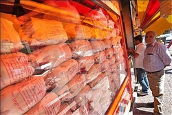 کاهش قیمت مرغ در میادین تهران