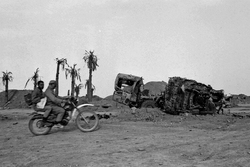 هفته سینمای «مقاومت و پایداری» در شبکه نمایش