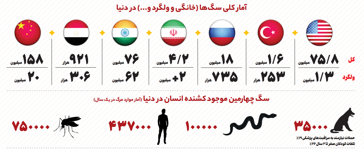 پدیده سگ‌های خیابانی حاصل کدام تصمیمات اشتباه است؟