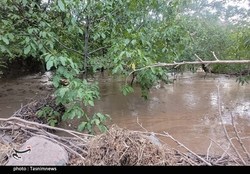 خسارت سه هزار و ۶۰۰ میلیارد تومانی سیلاب به کشاورزان سیستان و بلوچستان