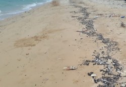 آلودگی نفتی در سواحل 20 کیلومتری کنگان