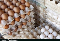 میزان صادرات تخم مرغ آنچنان جزئی است که نمی توان نام صادرات بر آن نهاد