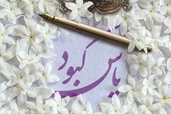 کتاب «یاس کبود» روایتی از مصیبت‌های رضاخان برای زنان