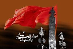 ترویج فرهنگ و معارف نهضت حسینی، رسالت مهم رسانه های انقلابی است