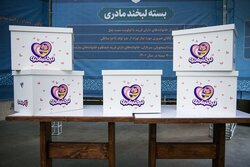 طرح پویش لبخند مادری در استان مرکزی آغاز شد