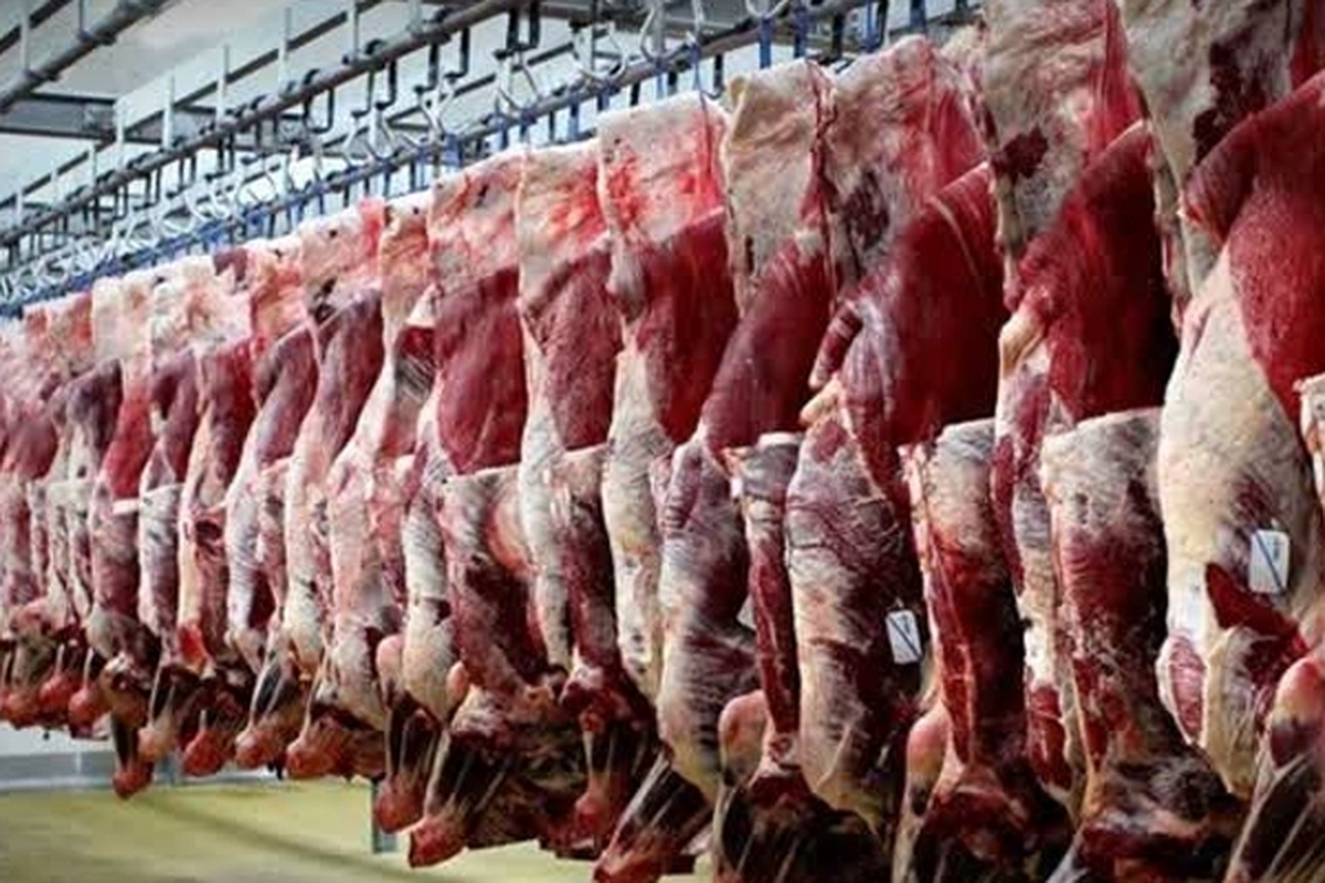 سود بازرگانی واردات گوشت صفر شد