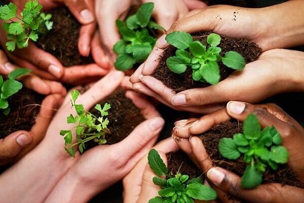 صنعت سبز؛ حلقه مفقوده تحقق هوای پاک در ایران