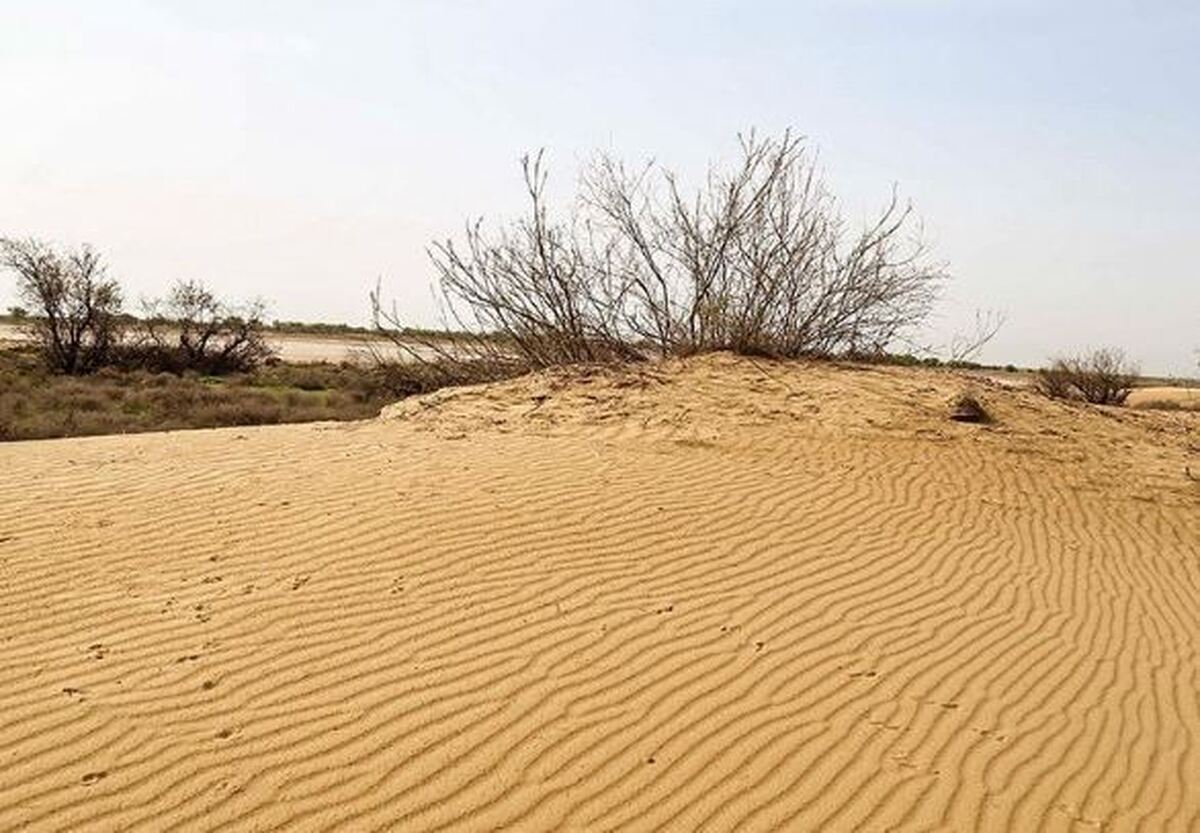 چین چگونه بیابان‌زایی را مهار کرد؟