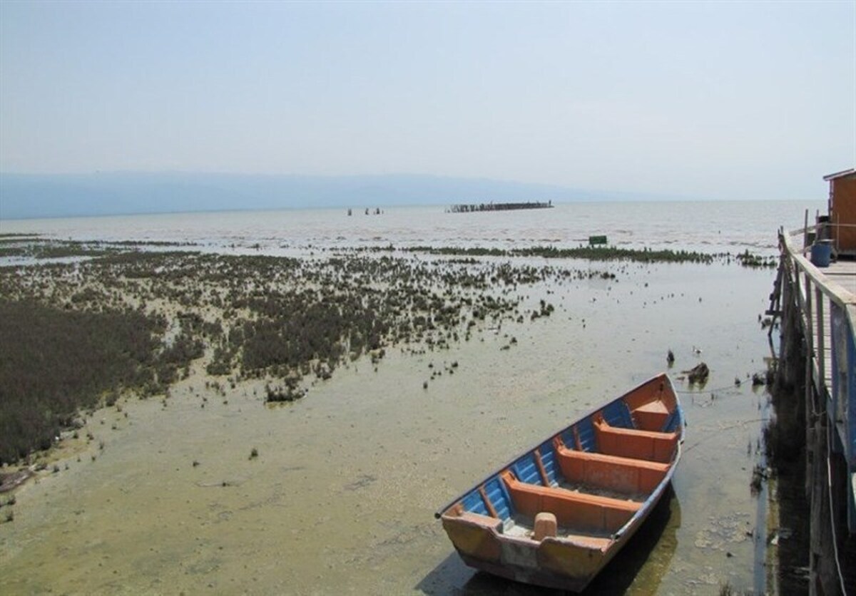 از رامسر تا احتضار؛ خلیج گرگان چگونه به فاجعه اکولوژیک رسید؟