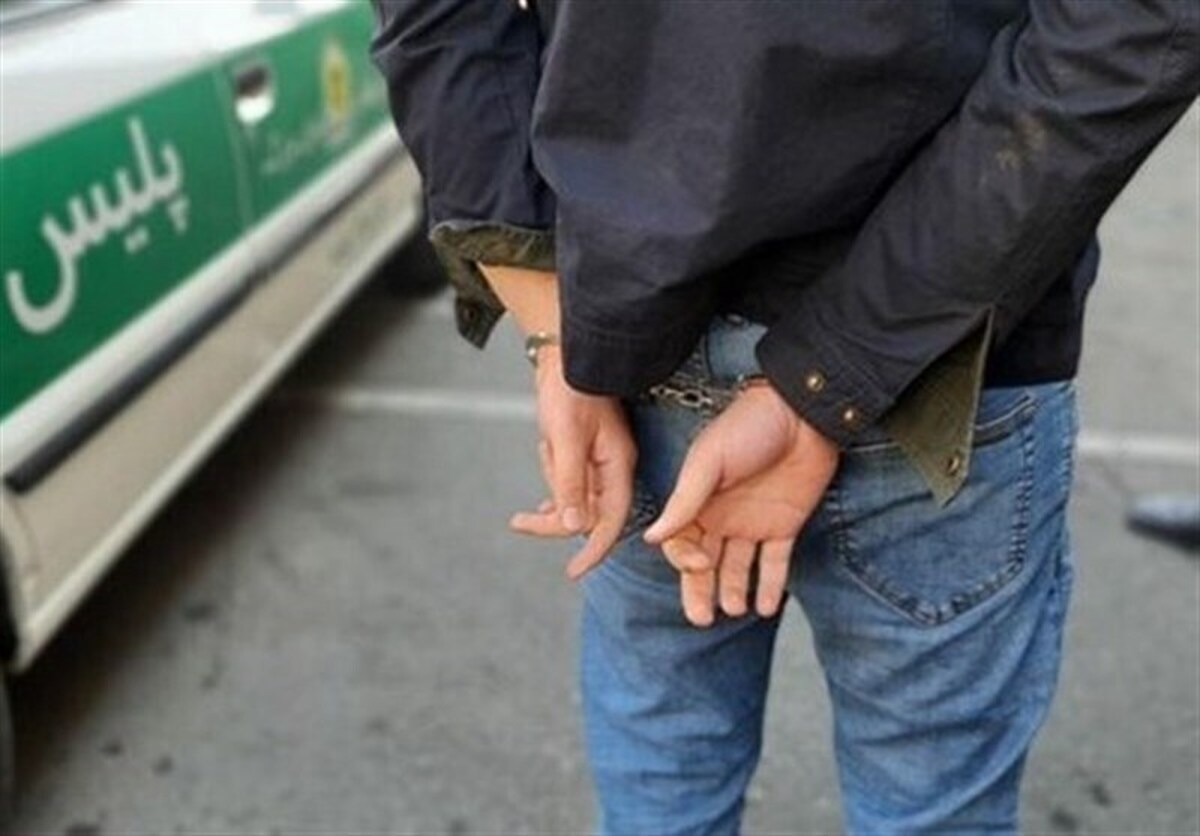 گزارش پلیس از اجرای طرح ویژه کاهش سرقت در دی‌ماه 1404