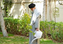 پویش درختکاری «درخت و نهال مثمر به نیت رهبر شهید» برگزار می‌شود 