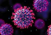 افزایش بیماران بستری با تست مثبت آنفلوانزا/خروج استان‌ها از موج بیماری