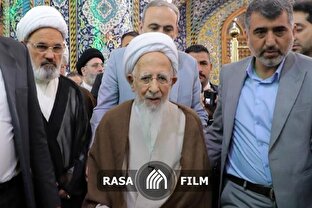 از زیارت تا حکمت؛ مروری بر سفر پرفیض آیت‌الله جوادی به نجف