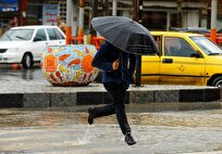هواشناسی ایران۱۴۰۴/۳/۱۳؛رگبار و رعدوبرق ۴ روزه در نوار شمالی