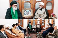 دیدار معاون ارتباطات و امور بین الملل دفتر مقام معظم رهبری با آیت الله محمودی گلپایگانی