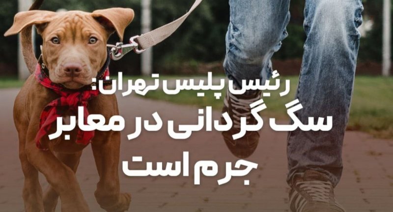 ابزارهای بی‌صدا / در حال تکمیل