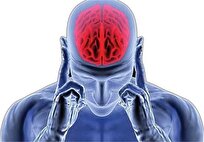 هر ۷دقیقه یک ایرانی مبتلا به آلزایمر میشود/ ممنوعیت درمان خانگی سکته مغزی