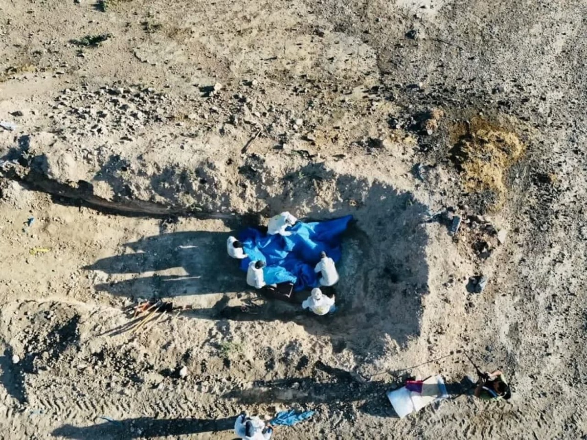 کشف قبر دست جمعی در نینوای عراق