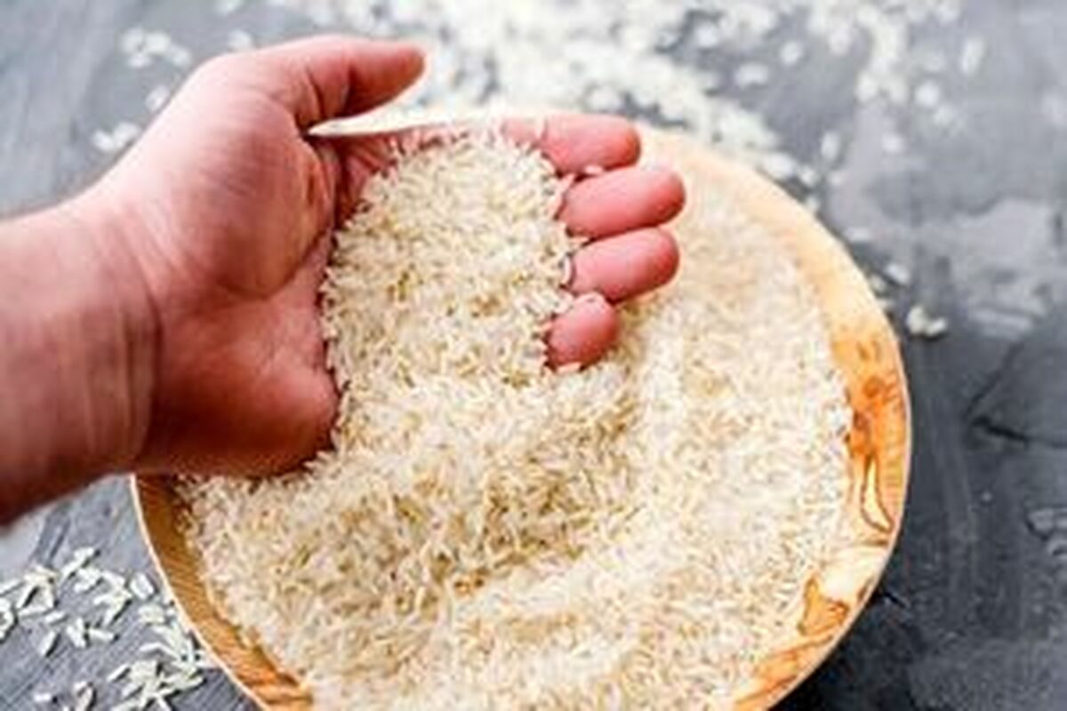 الزامات کنترل قیمتها؛ نه به