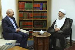 دیدار رئیس مجلس شورای اسلامی با مراجع تقلید