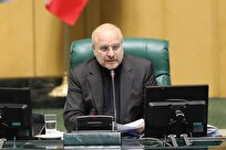 اجرای کالابرگ الکترونیک هدر رفت منابع ارزی را مهار می‌کند