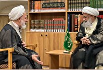 آیت الله محمدی عراقی با آیت الله کریمی جهرمی دیدار کرد