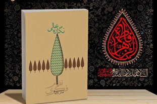 انتشار کتاب «نگاره عالی» درباره حکمت و معارف فاطمی