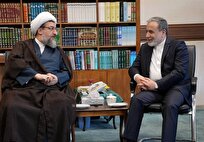 دیپلمات‌ها با اتکا به نیروهای مسلح در میدان‌ها حضور می‌یابند