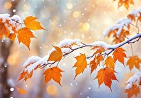 هواشناسی ایران ۱۴۰۴/۹/۱۸؛ هشدار نارنجی بارش برف و باران در ۲۰ استان