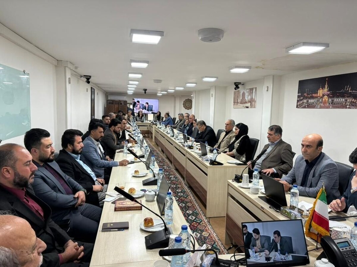 لابی برای انحصار گردشگری زیارتی و درمانی اتباع افغانستان و پاکستان