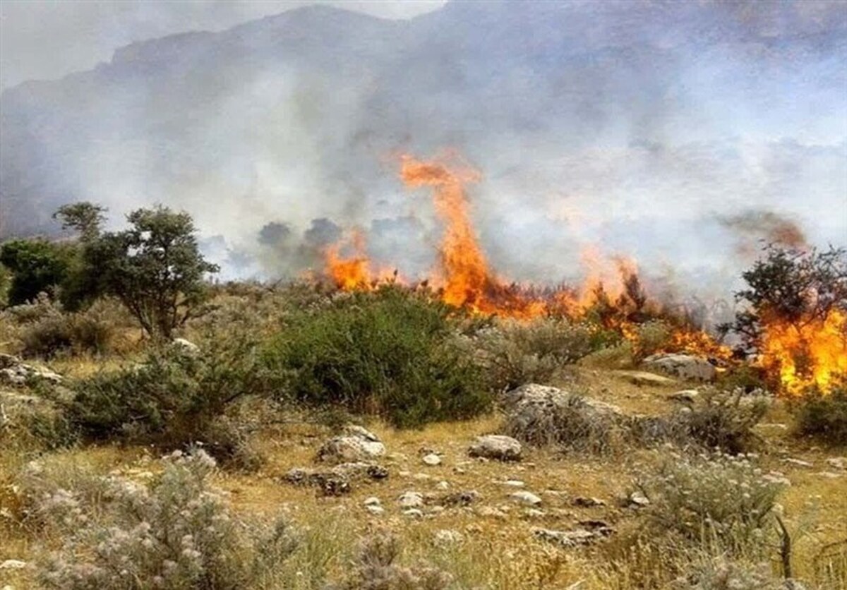 بحران در جنگل‌های ایران/ ۴۶ هزار هکتار اراضی ملی، مرتعی و جنگلی در آتش سوخت