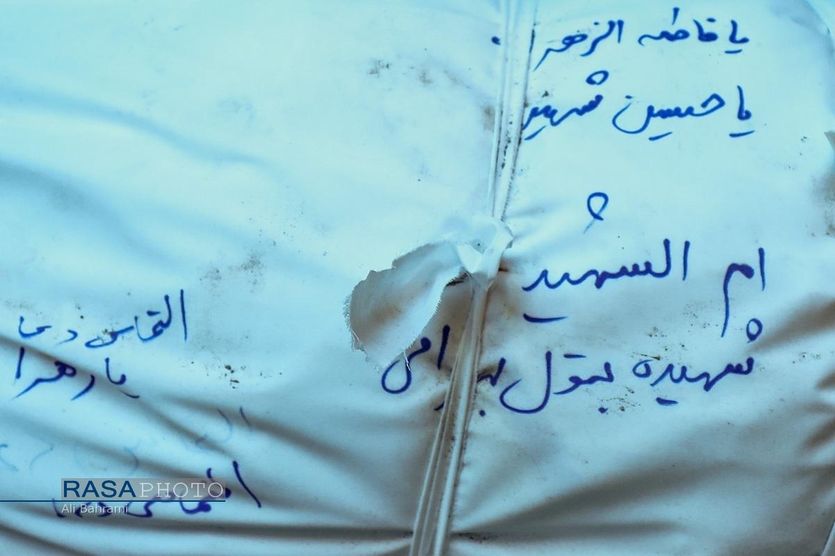 پرواز مادر شهید، به سوی فرزند شهیدش