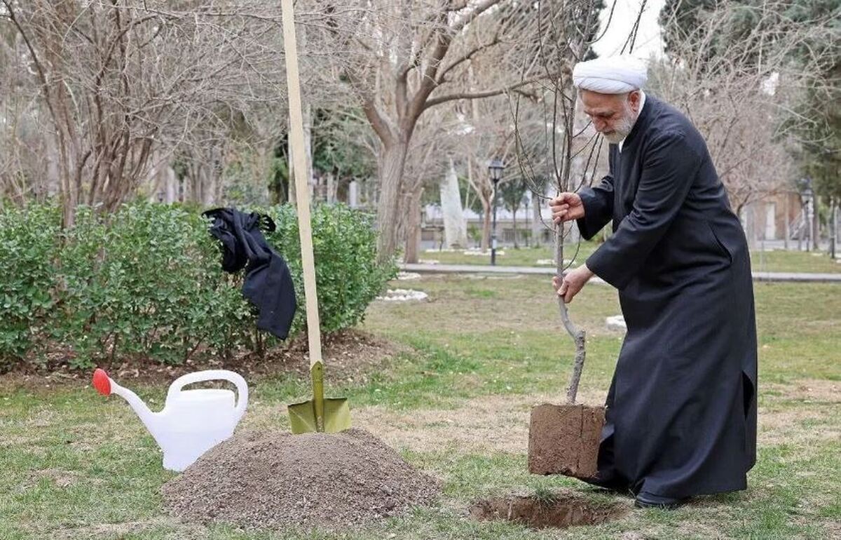 گذار از درختکاری سمبلیک به درختکاری راهبردی