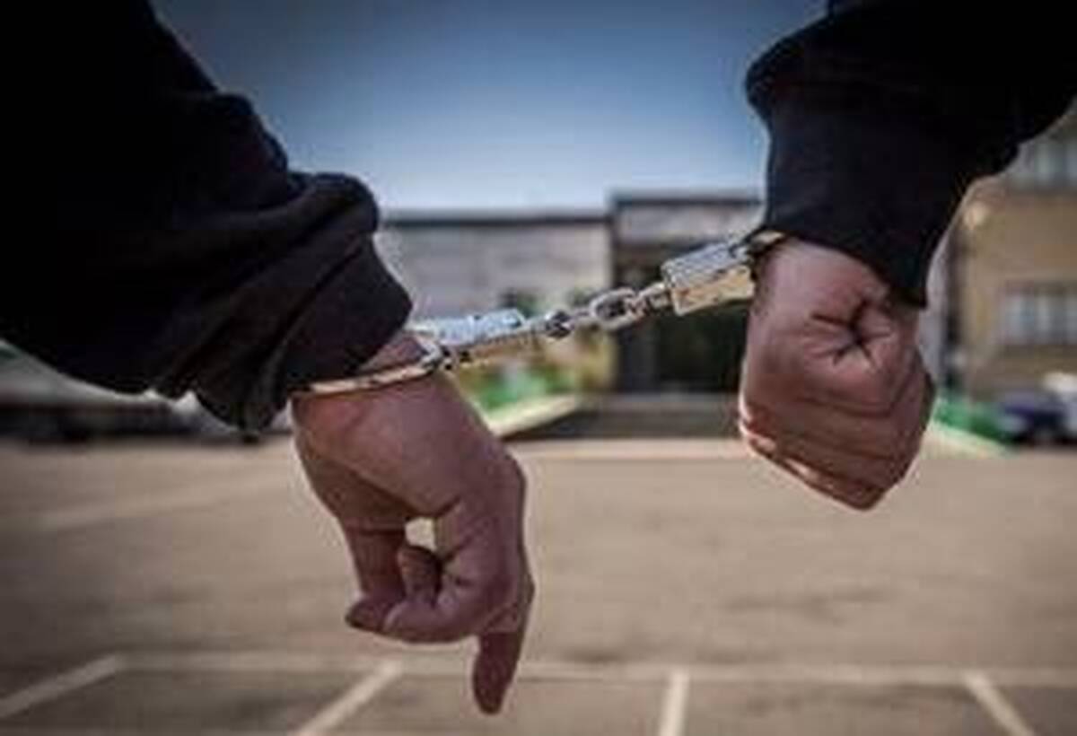 سربازان وطن‌فروش آمریکایی ـ صهیونی در تور اطلاعات/ ۳۱۳ نفر دستگیر شدند