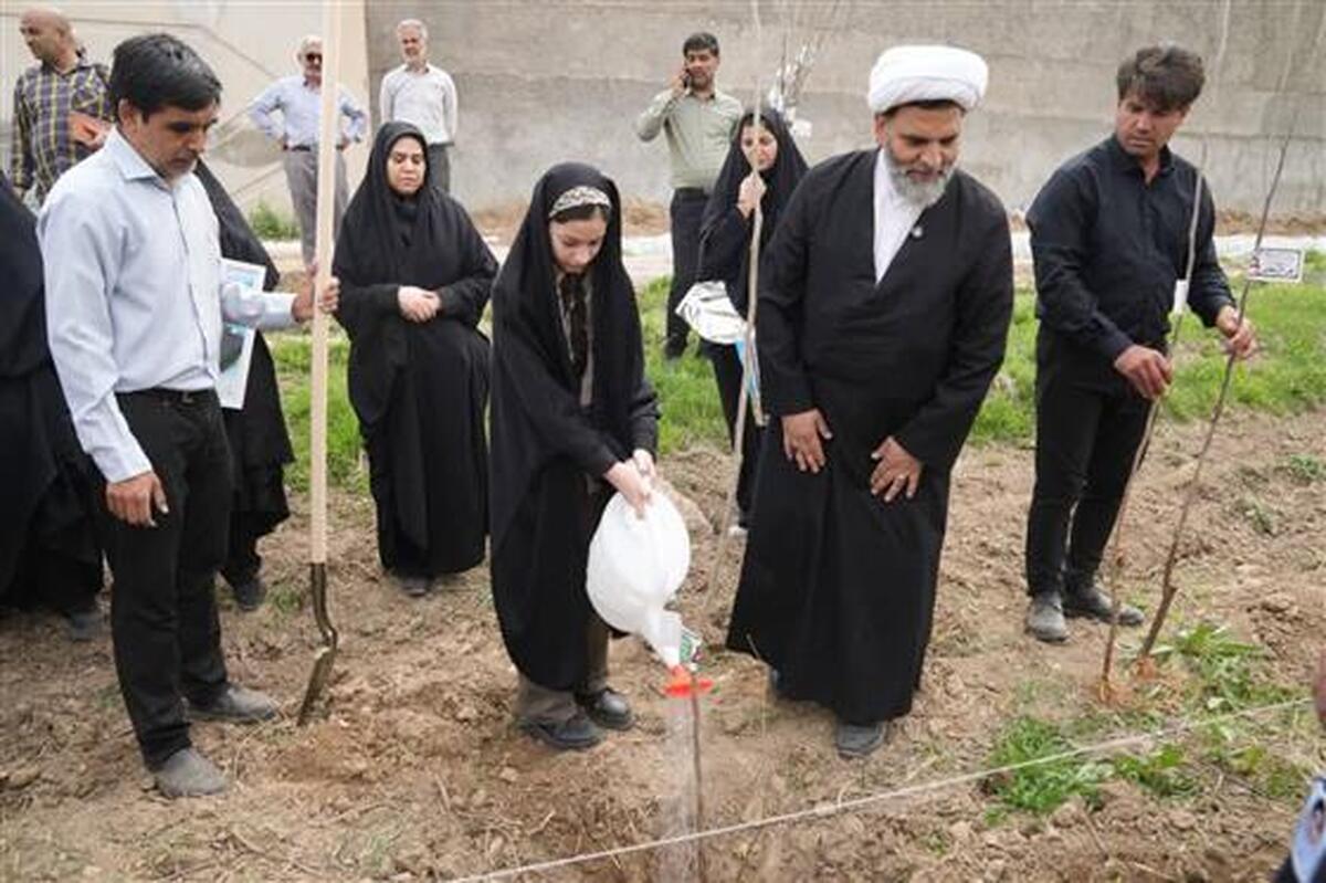 کاشت 234 نهال یادبود شهدای میناب در پویش ملی سرو ایران