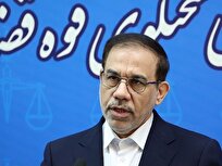 دستگاه قضایی با اخلالگران بازار و سودجویان برخورد قاطع می‌کند