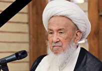مرجعیت و سیاست از نگاه شیخ نجف اشرف