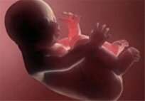 افزایش سقط‌ جنین خودخواسته؛ هزاران روایت ناگفته از ترس، فشار و پشیمانی