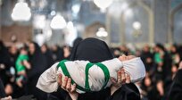 همايش شیرخوارگان حسینی در کاشان برگزار شد + فیلم