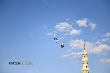 مسجد مقدس جمکران در شب میلاد امام زمان (عج)