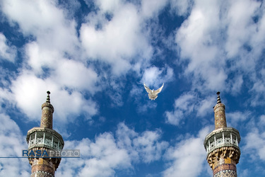 بارگاه ملکوتی حضرت ثامن الحجج علی بن موسی الرضا (علیه السلام)