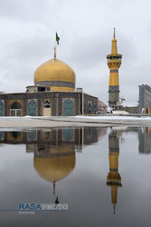 بارگاه ملکوتی حضرت ثامن الحجج علی بن موسی الرضا (علیه السلام)