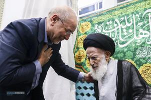 دیدار رئیس مجلس شورای اسلامی با مراجع تقلید
