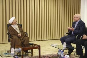 دیدار رئیس مجلس شورای اسلامی با مراجع تقلید