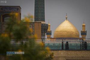 حرم حضرت امیرالمومنین (ع) در آستانه ولادت حضرت زهرا (س)