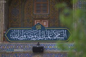 حرم حضرت امیرالمومنین (ع) در آستانه ولادت حضرت زهرا (س)