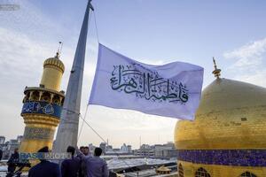 حرم حضرت امیرالمومنین (ع) در آستانه ولادت حضرت زهرا (س)