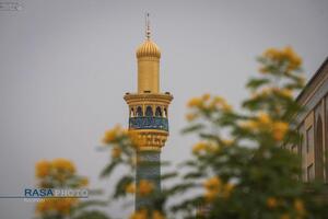 حرم حضرت امیرالمومنین (ع) در آستانه ولادت حضرت زهرا (س)