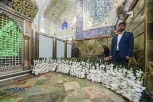 حرم حضرت امیرالمومنین (ع) در آستانه ولادت حضرت زهرا (س)